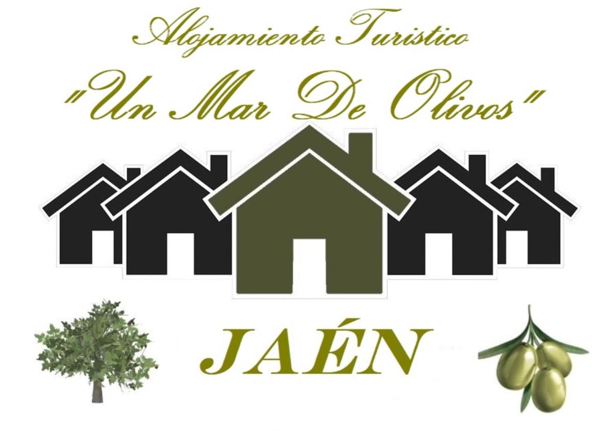 Alojamiento Turístico Un Mar De Olivos Jaén - Housity