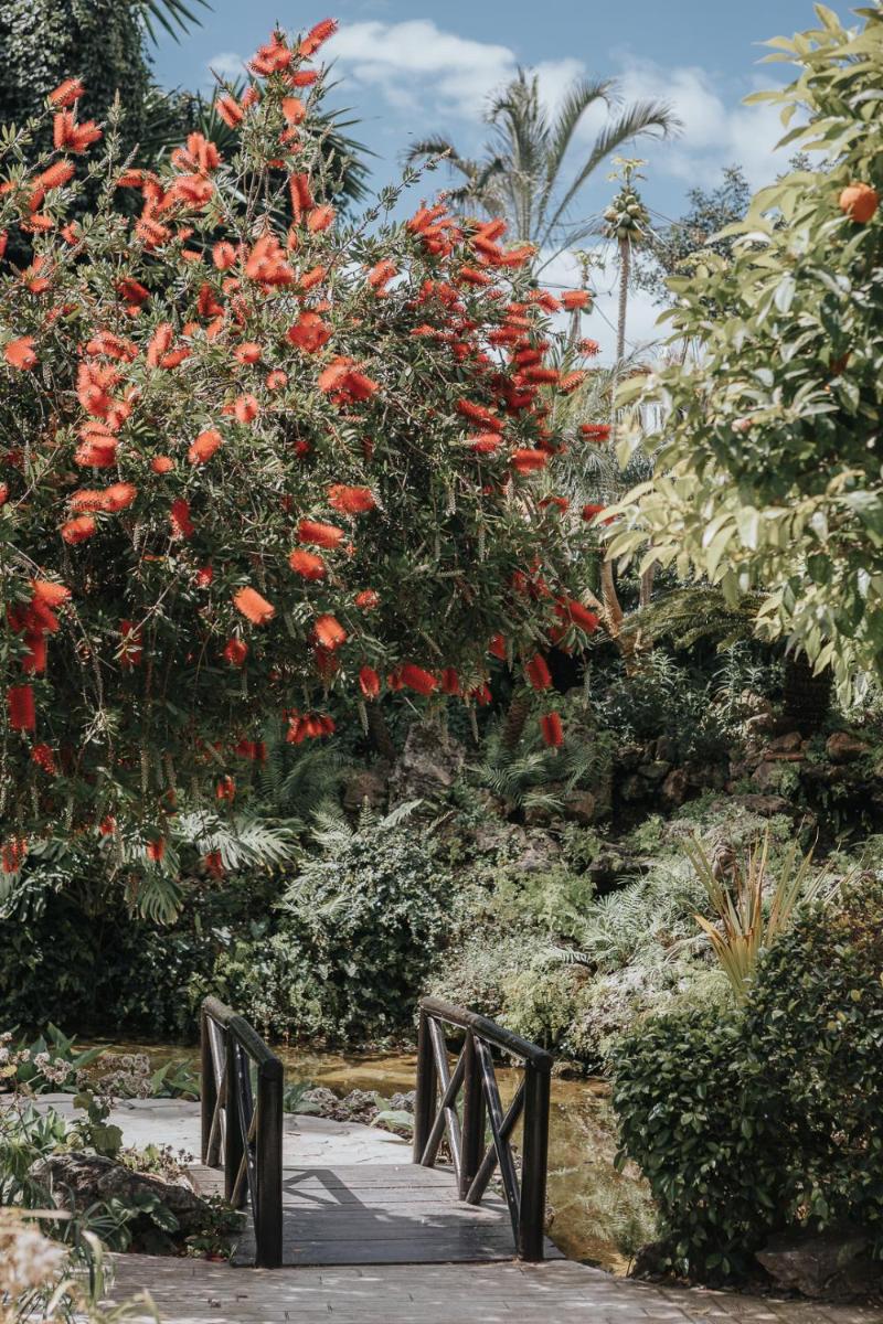 Jardín al aire libre en Puente Romano Marbella