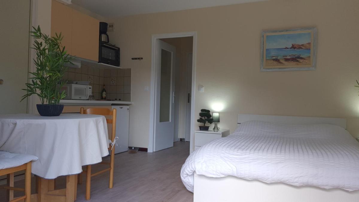 Room in Studio - Amelie les Bains studio spa treatment - Housity