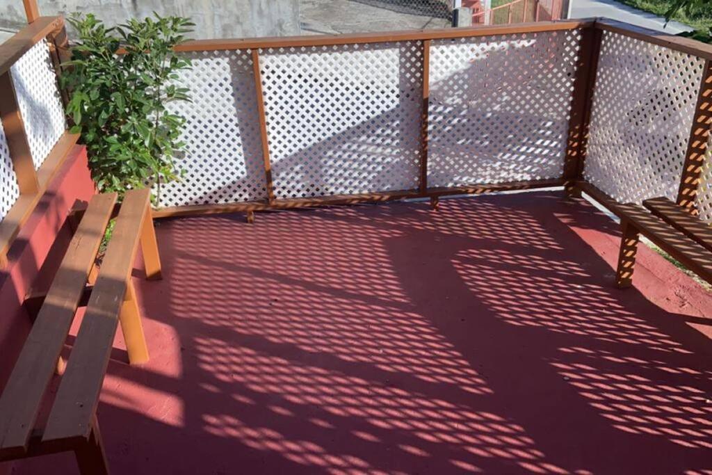 Homely environment ideal for a home away from home - Housity