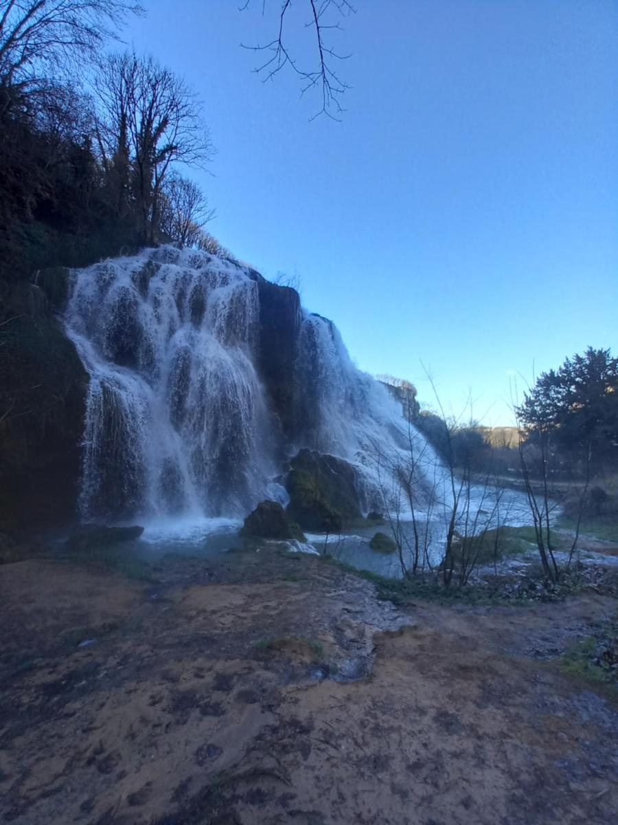 Bord de Seille - Housity