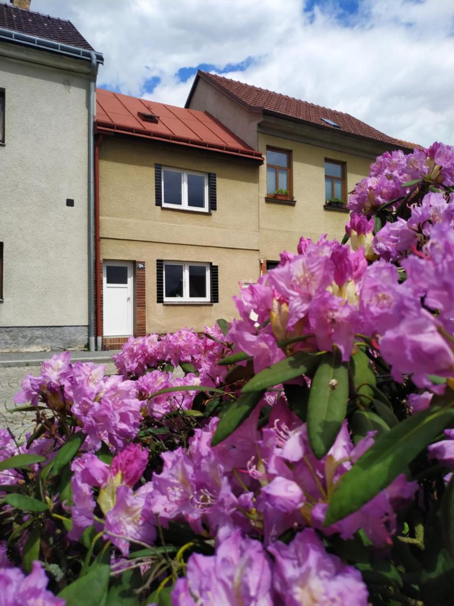 Apartmán Počátky - Housity