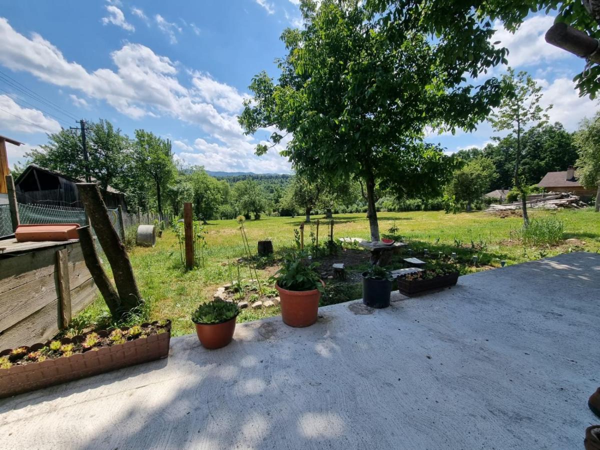Casa primitoare in inima naturii si padurii - Housity