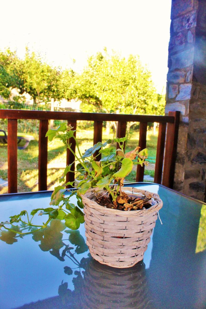 Casa Minha Pantomina - Housity