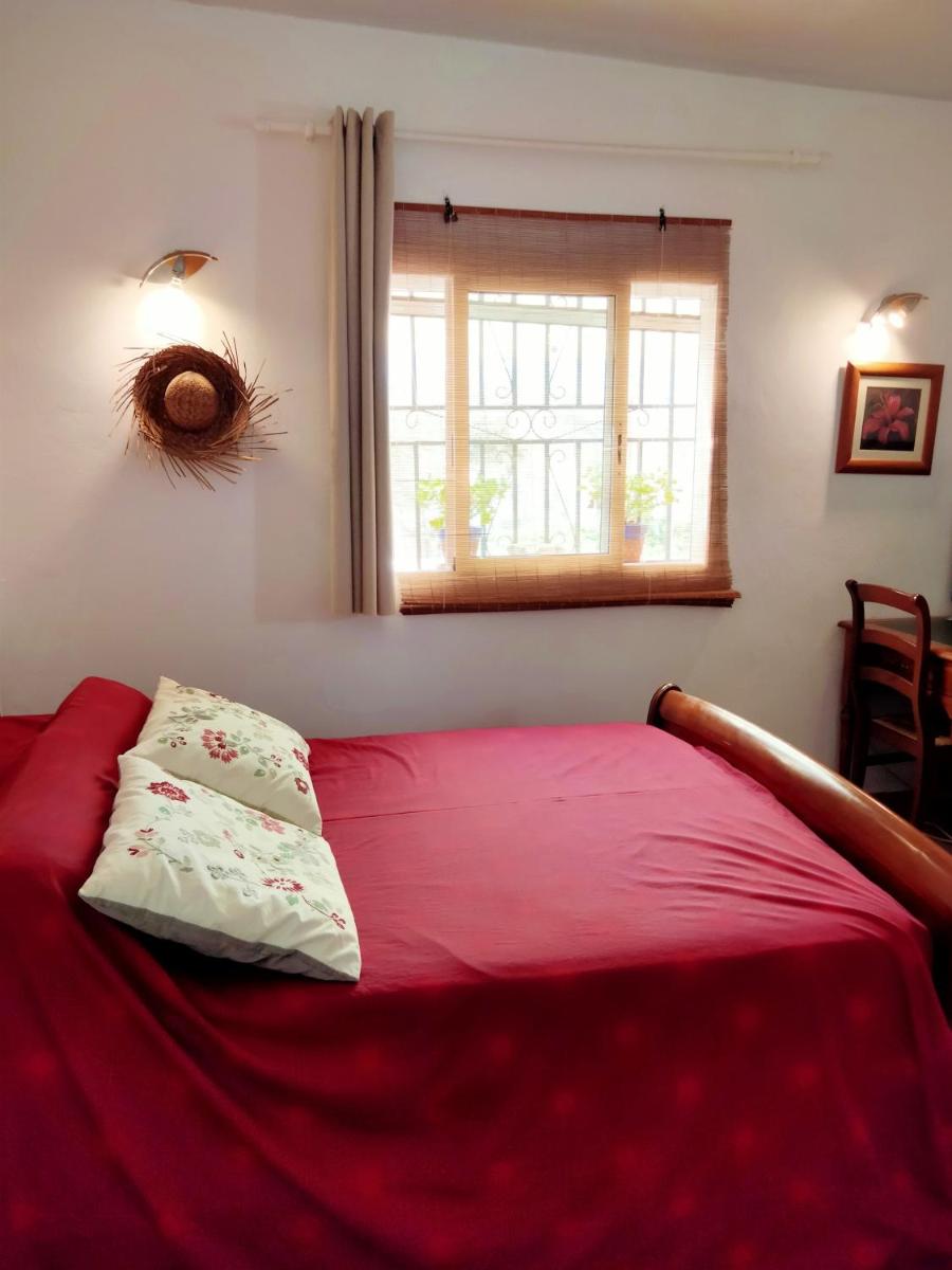 One bedroom appartement with private pool and enclosed garden at Tabernas - Housity