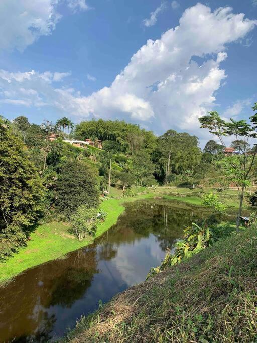 Entre Bambús - Housity