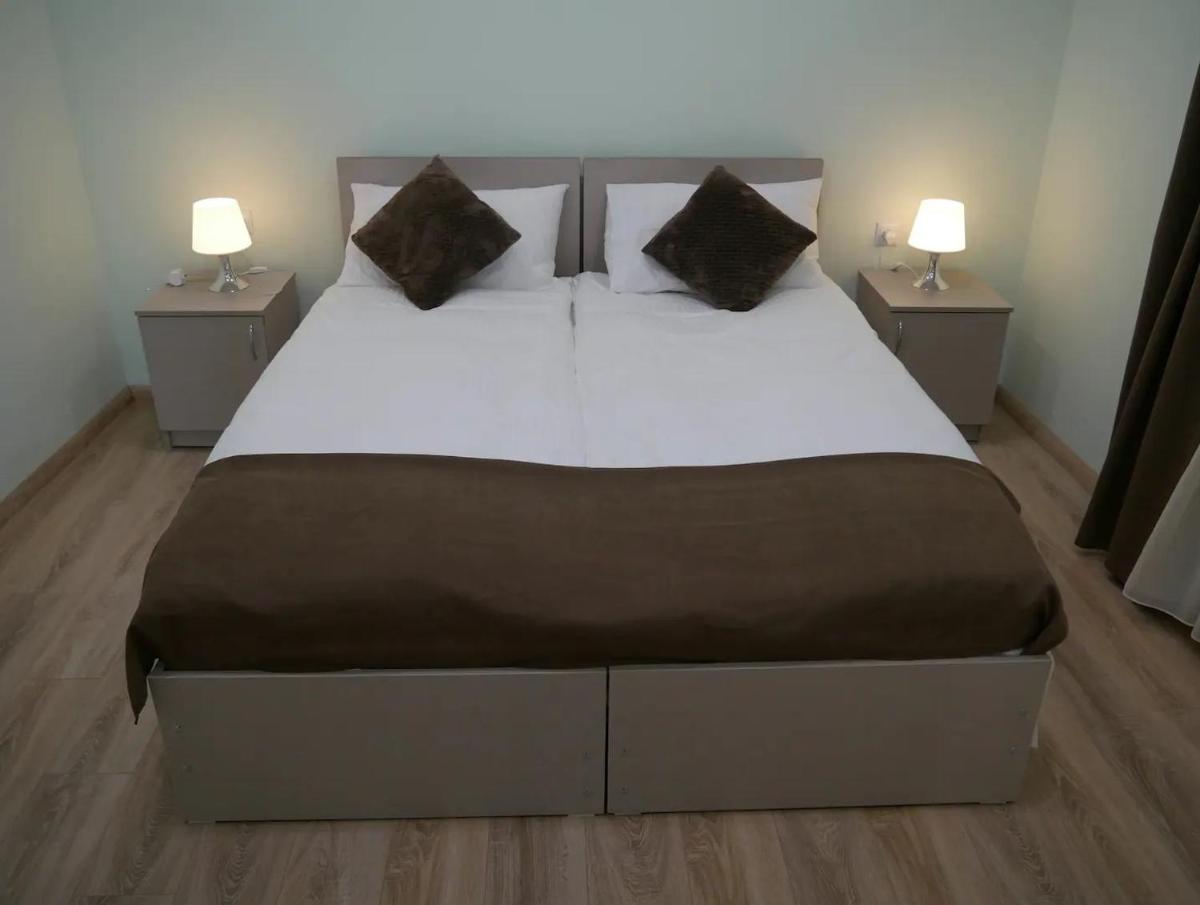 Luxury Apartment at Pirosmani 22 in central Borjomi - Housity