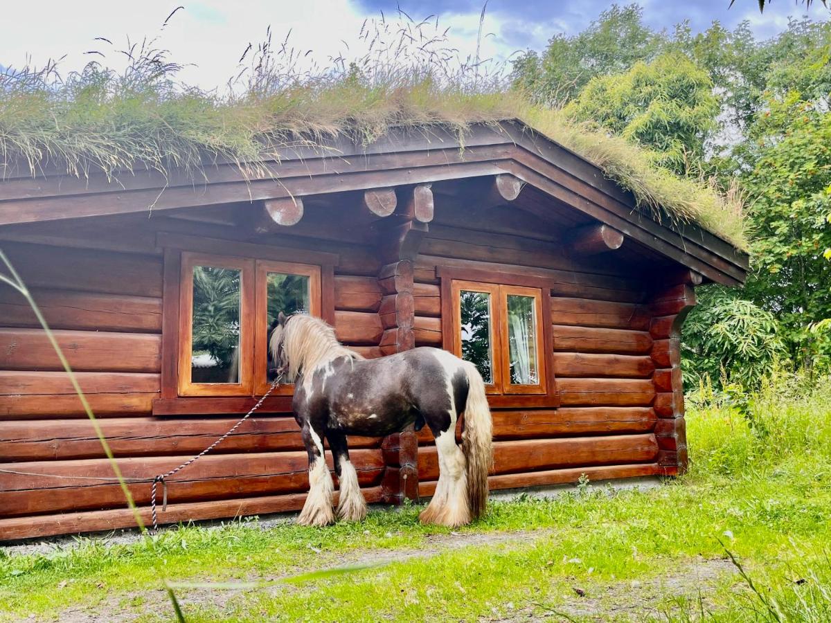 Log home village - Housity
