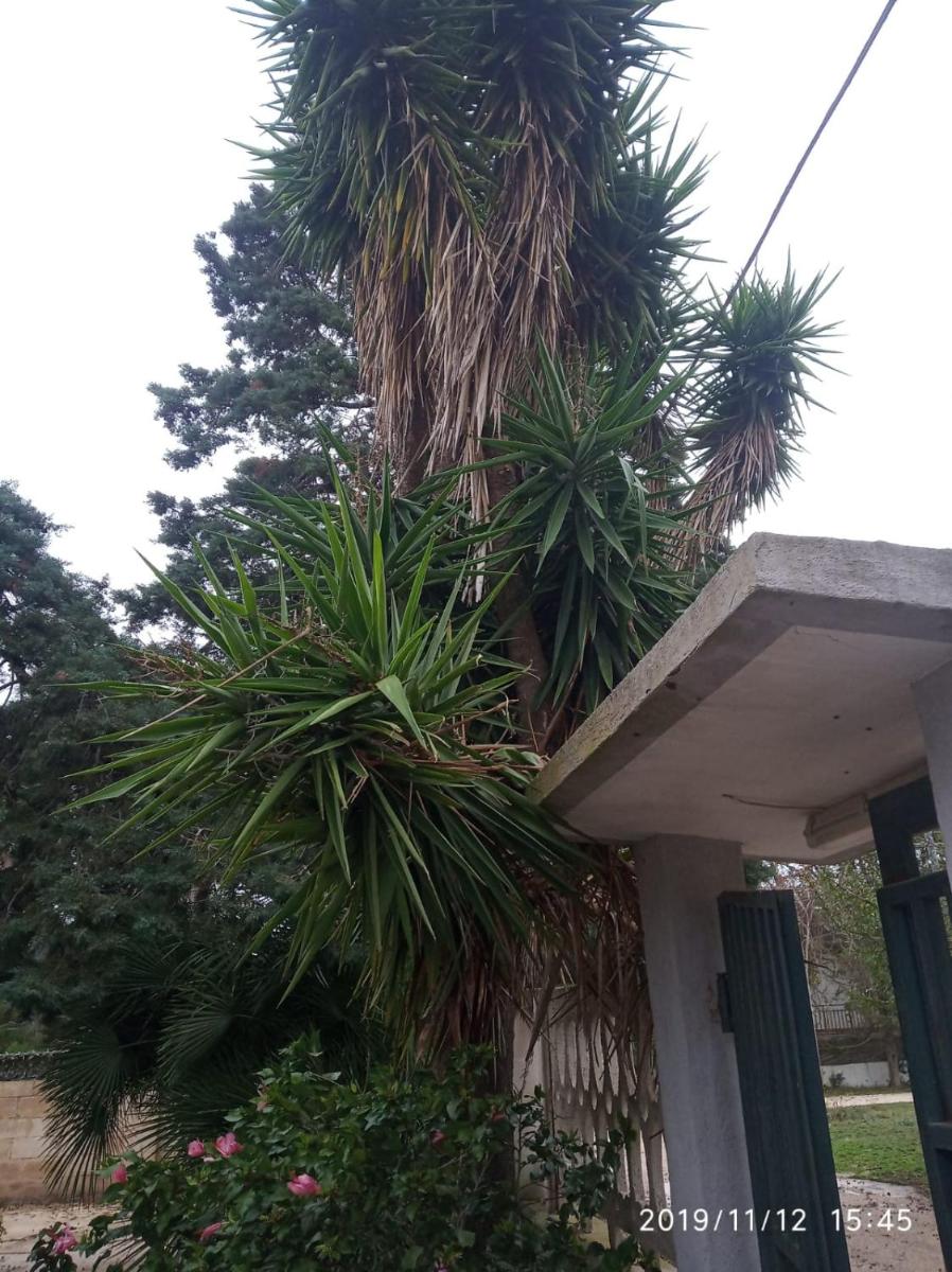 Casa Sofia - Housity