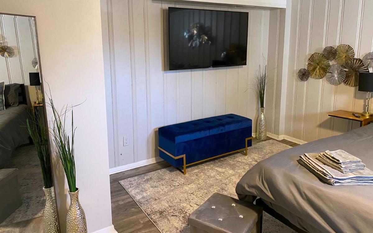 Cozy and Modern 1BR Apartment with WiFi and Dogs Welcome - Housity