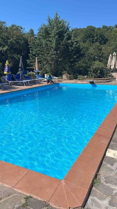Villa L'Usignolo - Housity