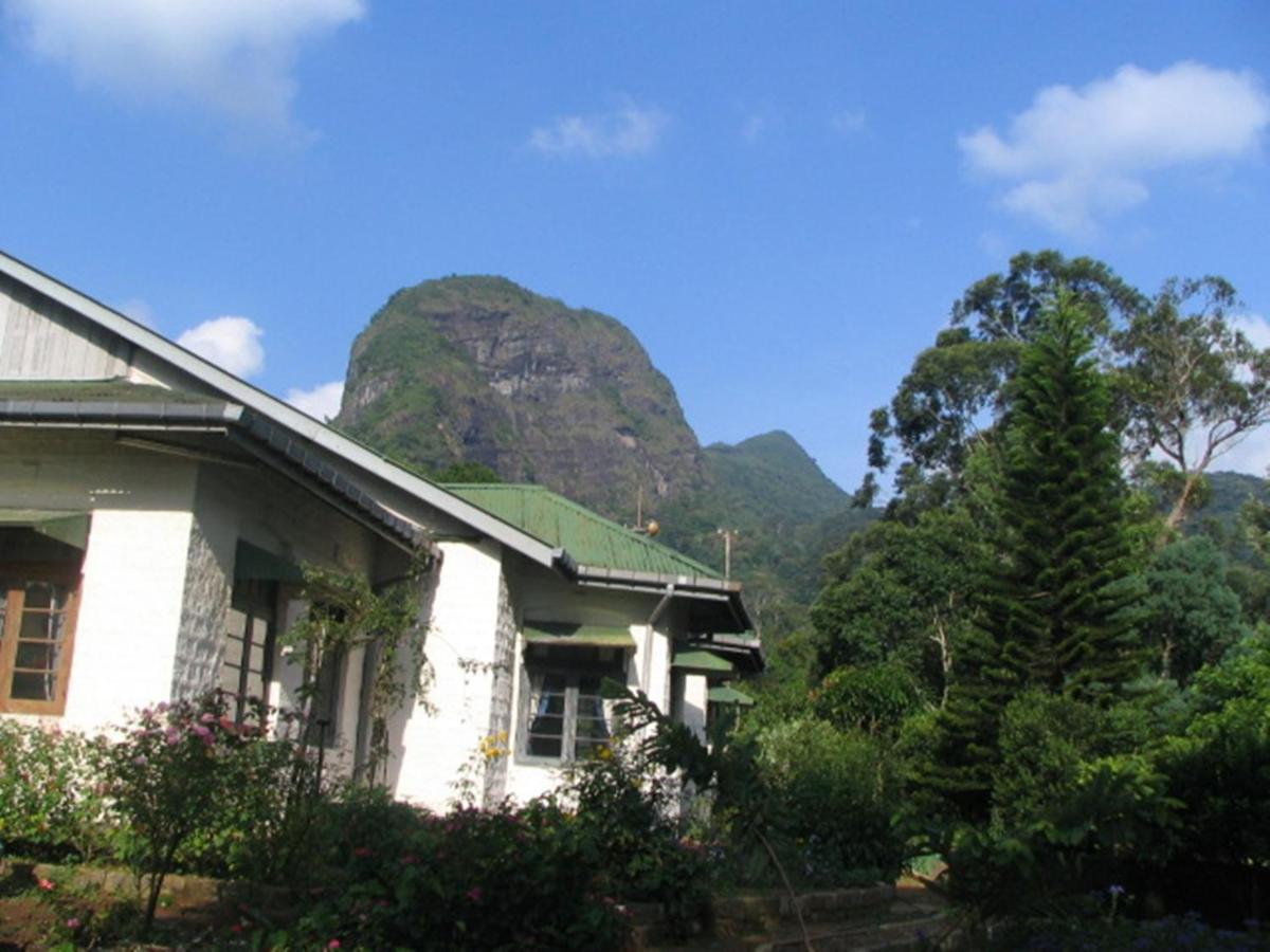 Knuckles Plantation Bungalow - Housity