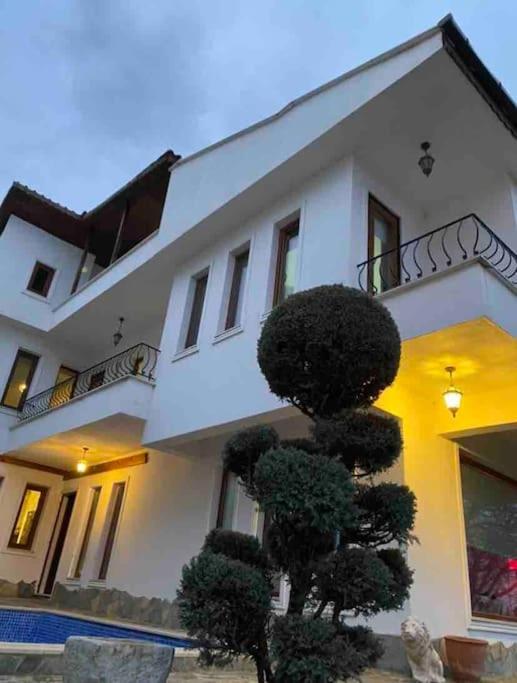 Villa Defne - Housity