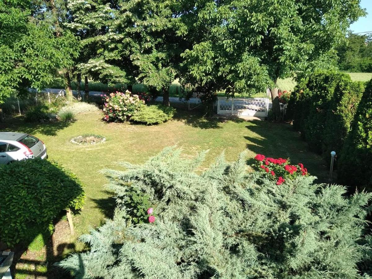 Garden House VERBENA - Housity