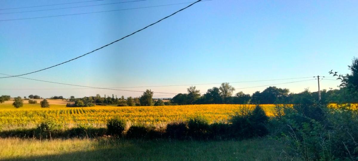 Domaine des Favaud - Housity