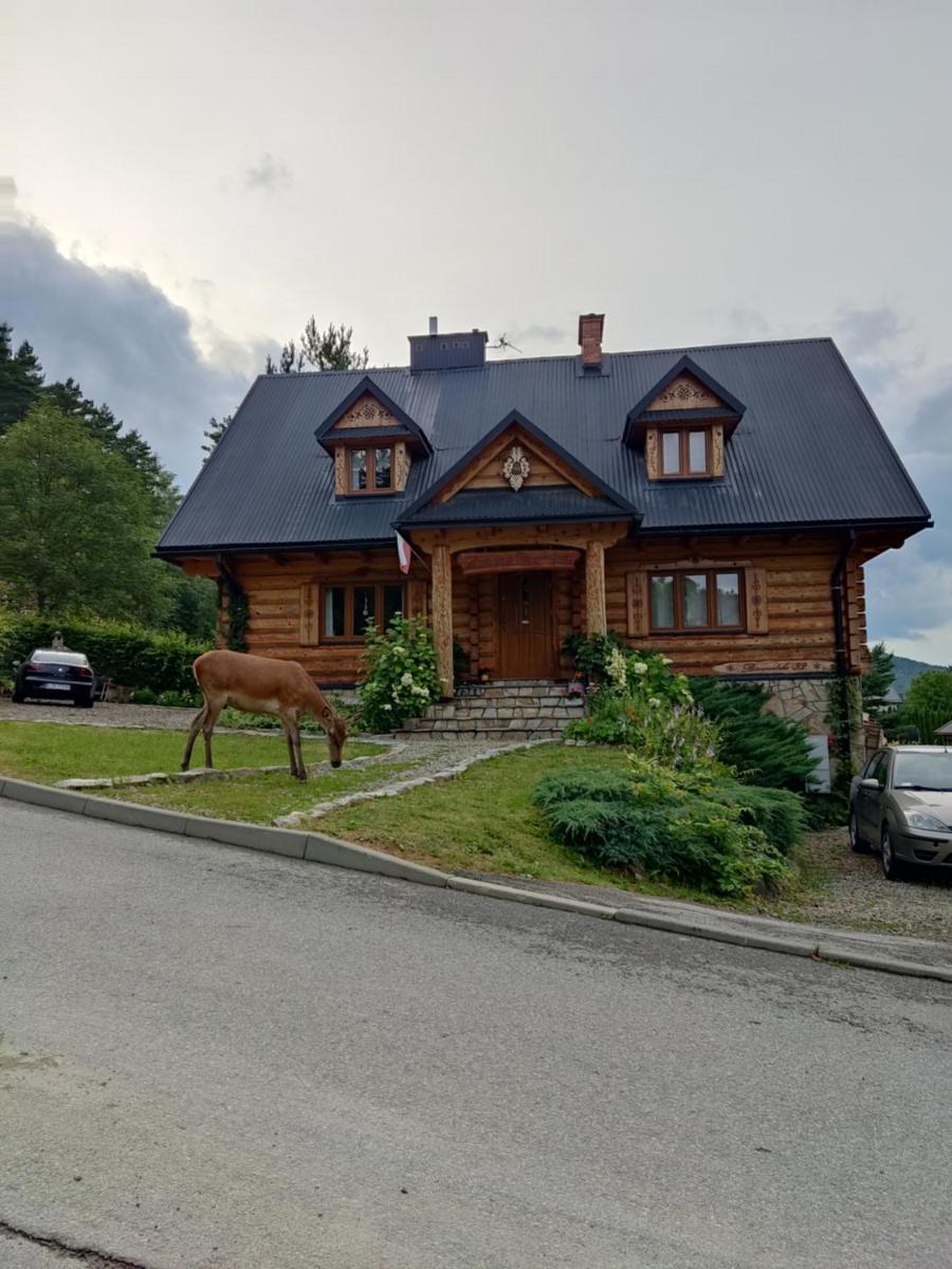 Przystań Gromadzyń - Housity