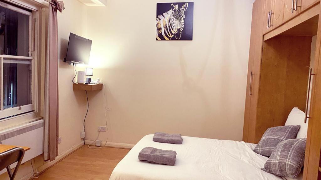 Stylish and Inviting Studio Flat in Coveted Chelsea Location - Housity
