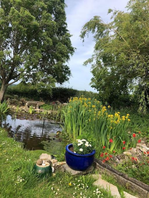 Beautiful Barn Conversion, 3 Bed, hot tub, sauna, gym, enclosed garden - Housity