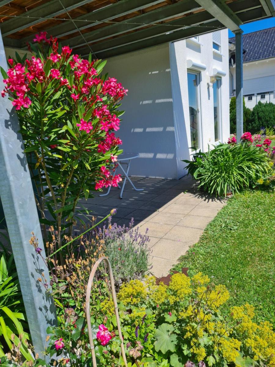 Ferienwohnung Albblick - Housity