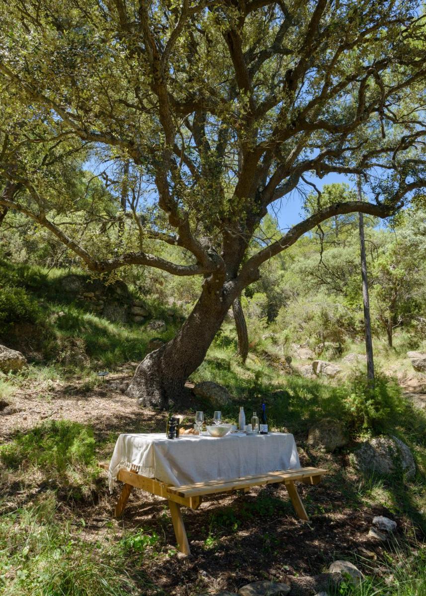 Paisaje cerca de este hotel