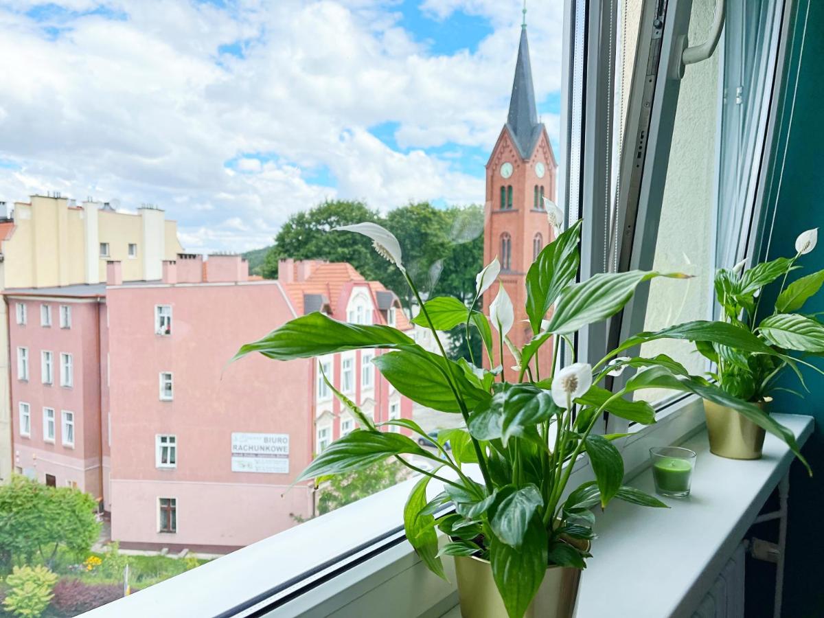 Apartament Parkowy - Housity