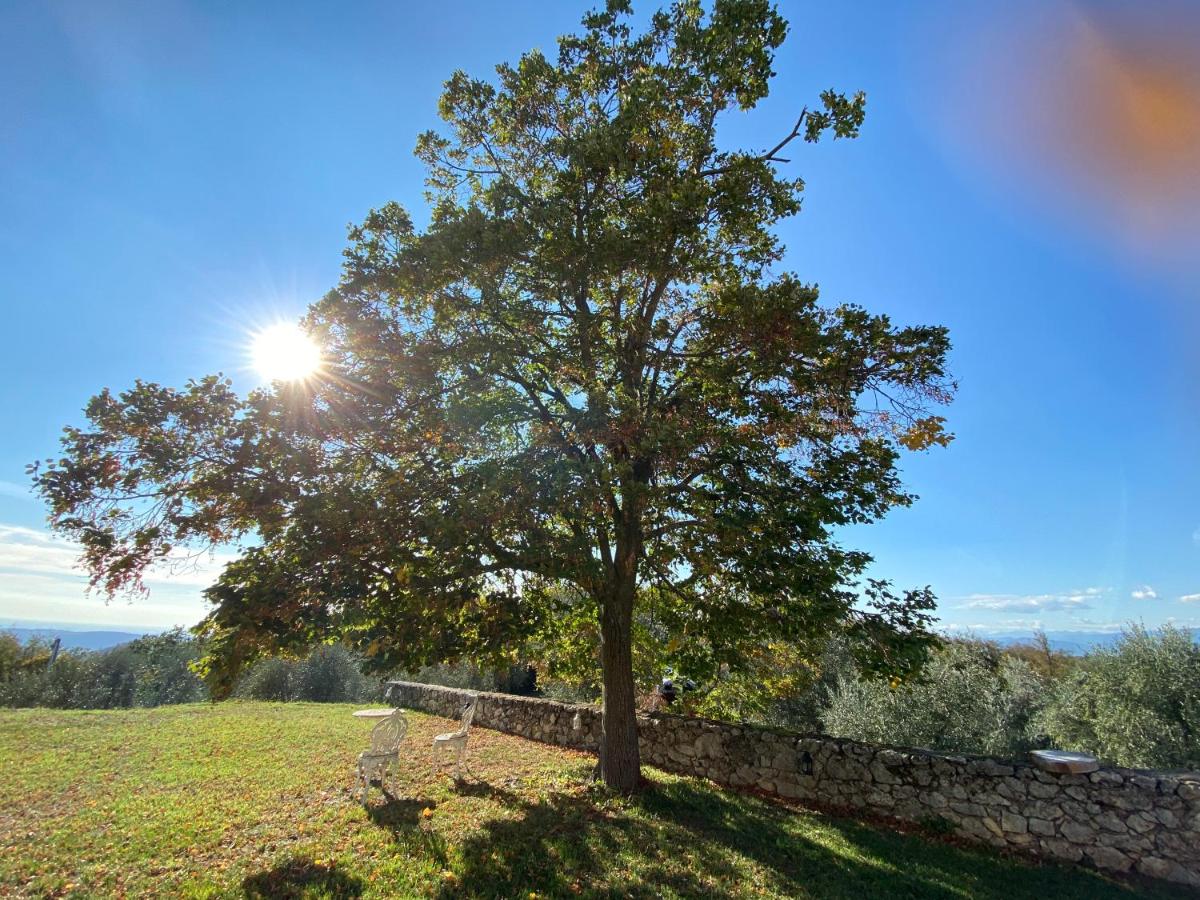 Podere Cereo - Housity