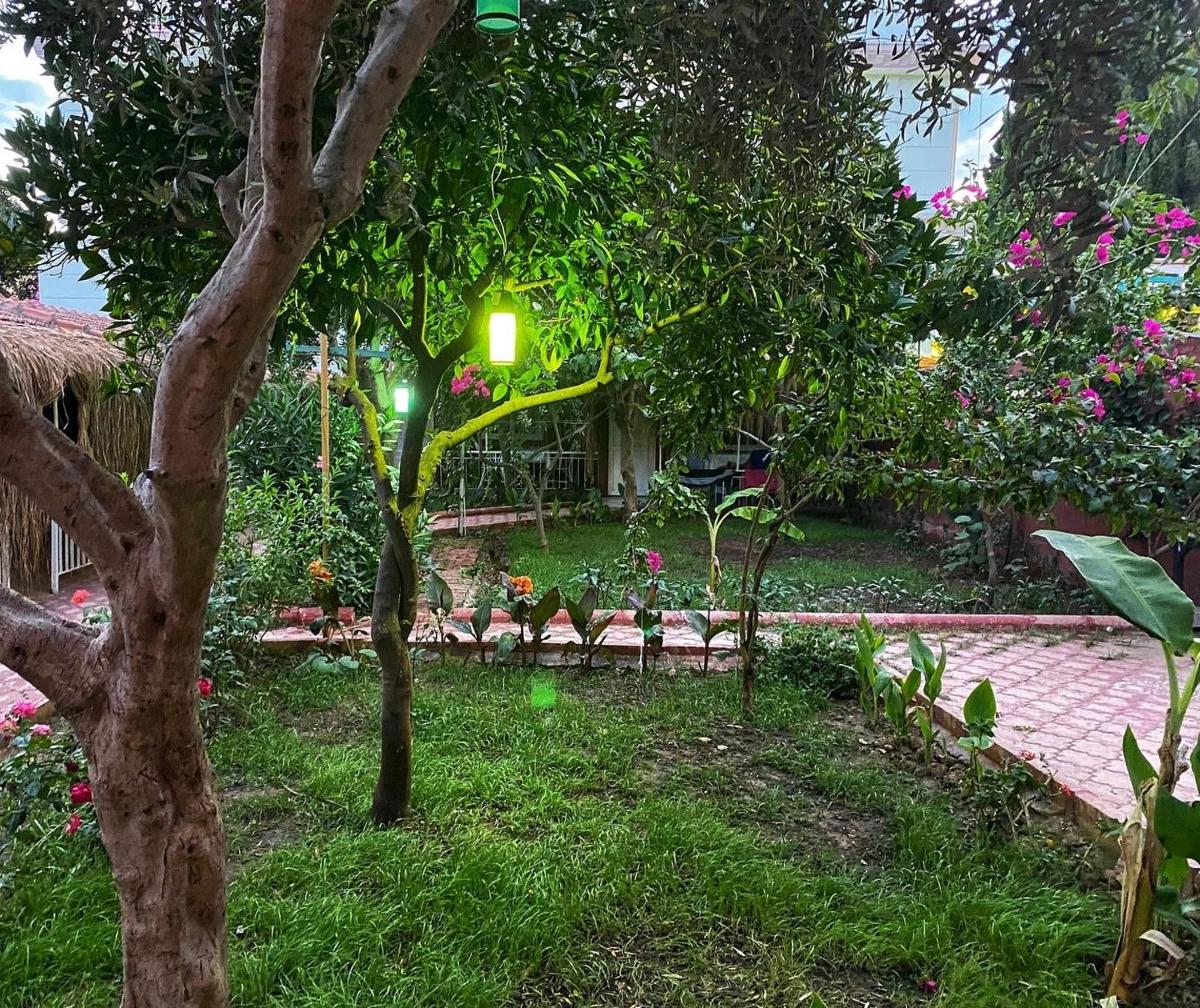 MoY-Side - Housity