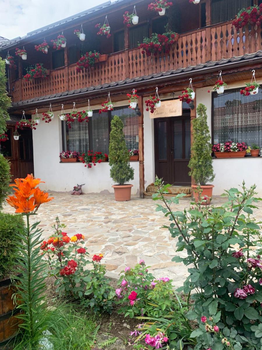 agropensiunea CASA NICA - Housity