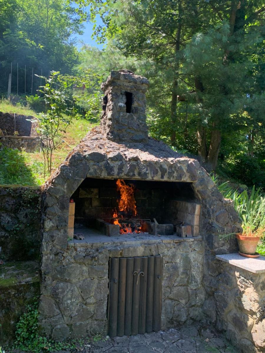 HOLIDAY HOME DRAGONFLY RIVER HOUSE on KORANA near PLITVICE and MREŽNICA - Housity