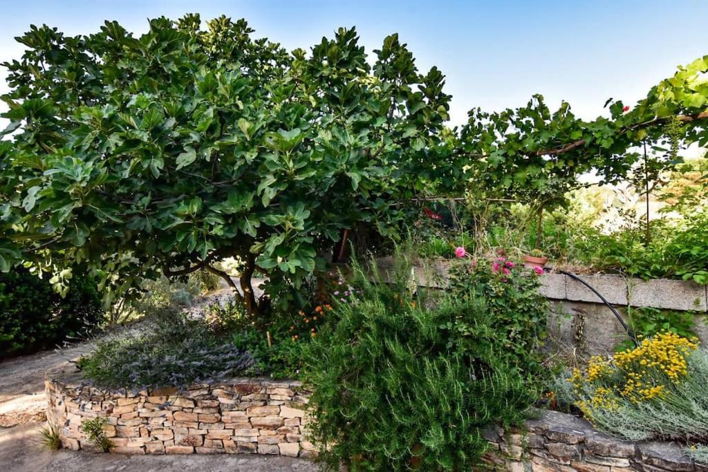 Casetta in campagna immersa nel verde - Housity