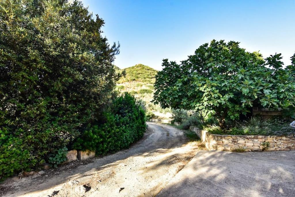 Casetta in campagna immersa nel verde - Housity