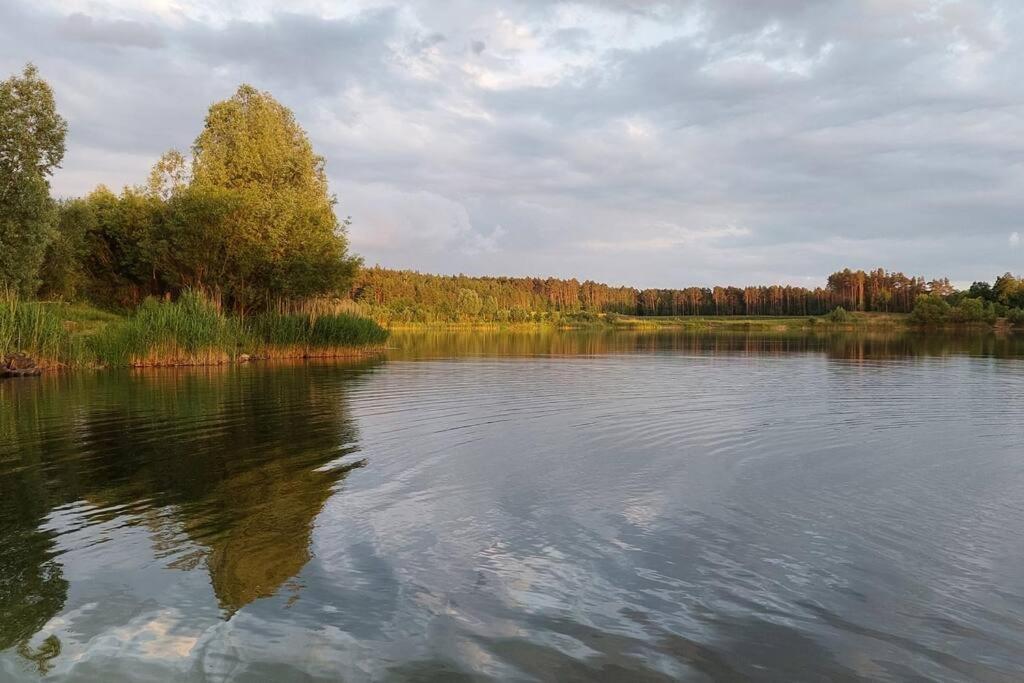 Agroturystka przy lesie - Housity