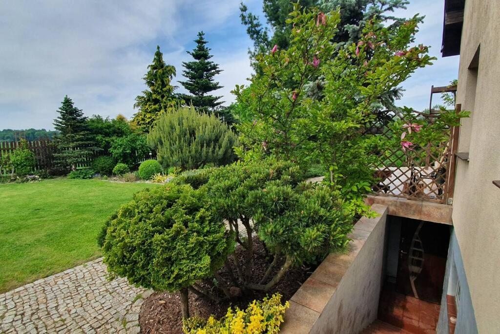 Agroturystka przy lesie - Housity