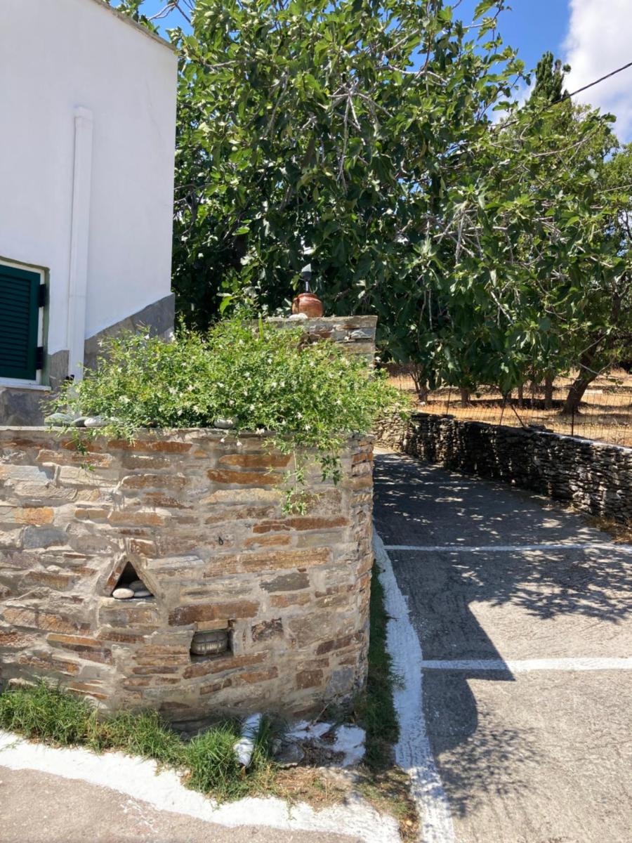 AGKYRA Rooms (Love) - Hizvo