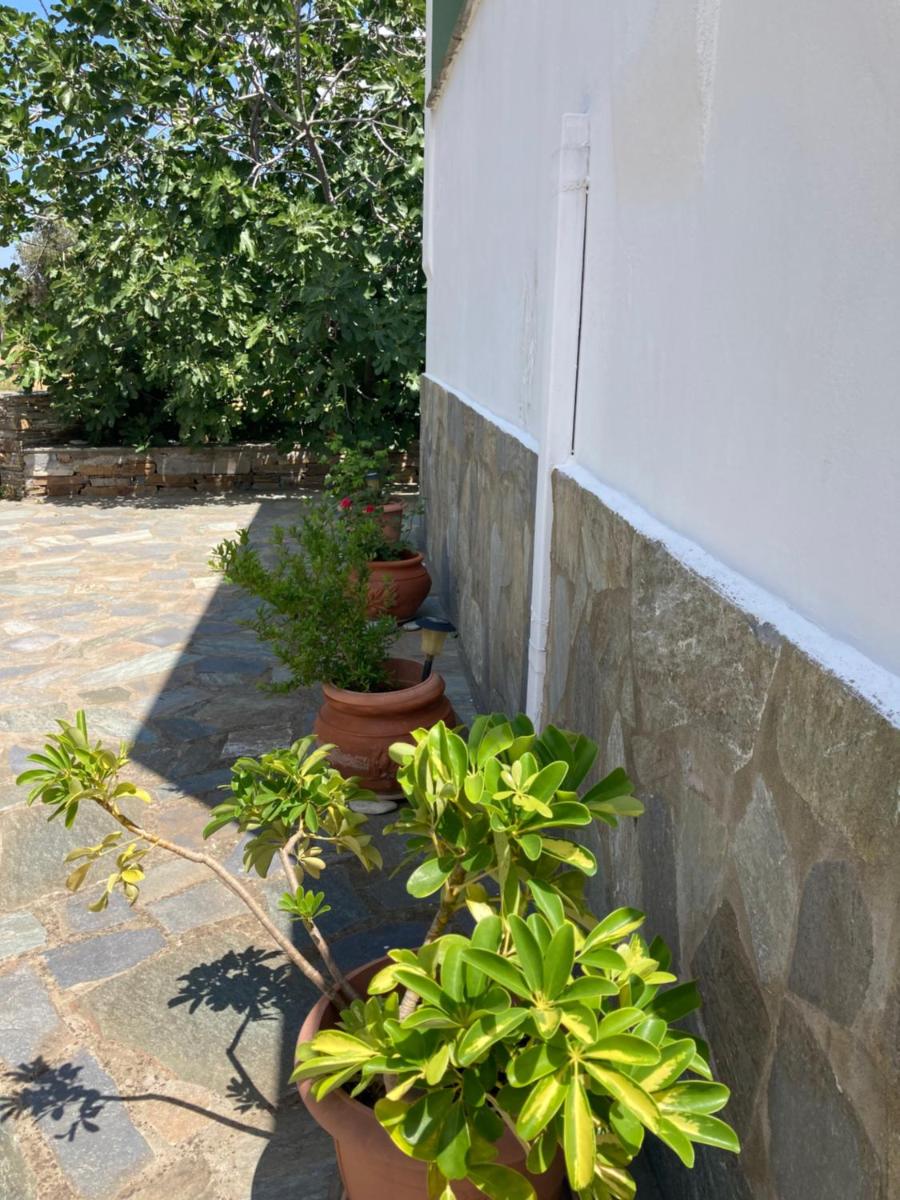 AGKYRA Rooms (Faith) - Housity
