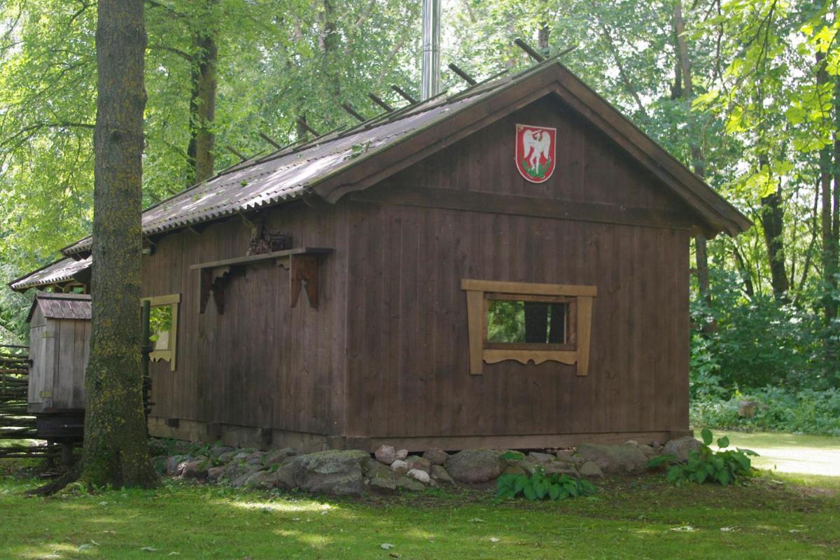 Medže dirbtuve - Housity