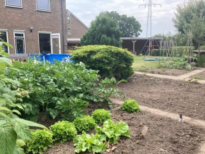 Twee-onder-een-kap, ruime tuin, stad - Housity