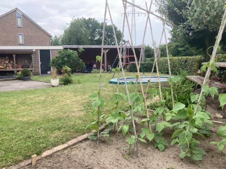 Twee-onder-een-kap, ruime tuin, stad - Housity