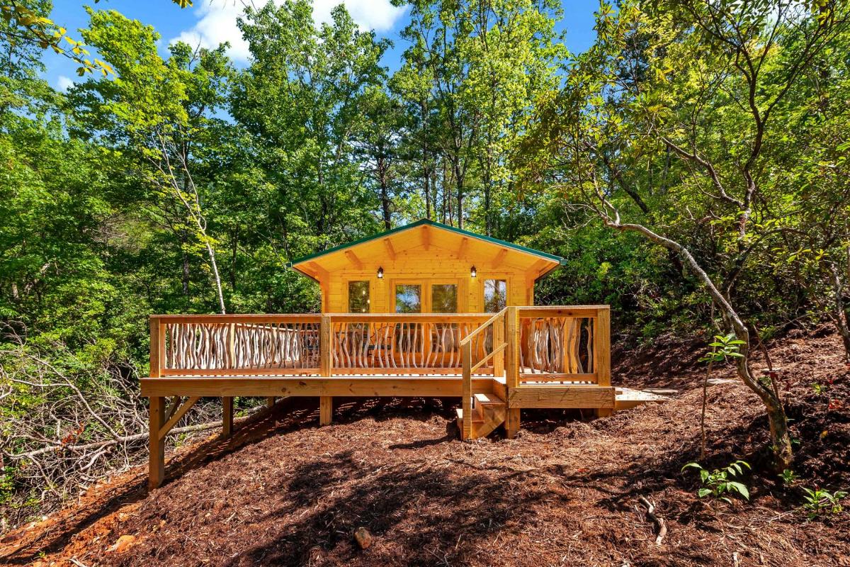 Laurel Ridge Cabin...experience nature in 90 acres! - Housity