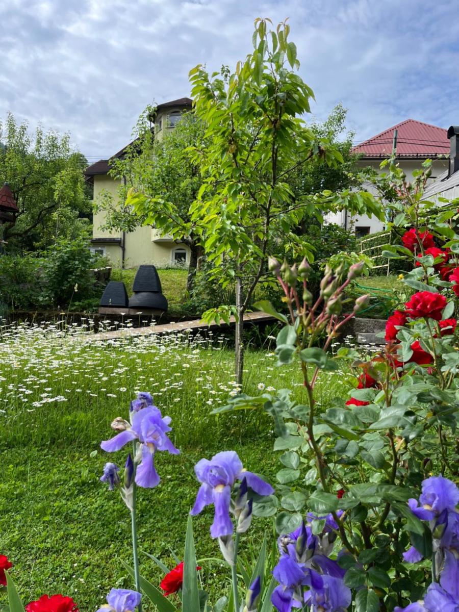 Riverside Villa Avo - Apartment Sara - Housity
