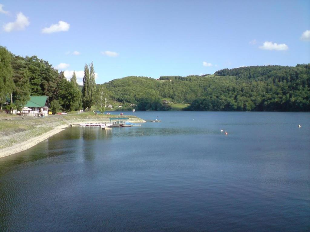 Viking Rożnów - Housity