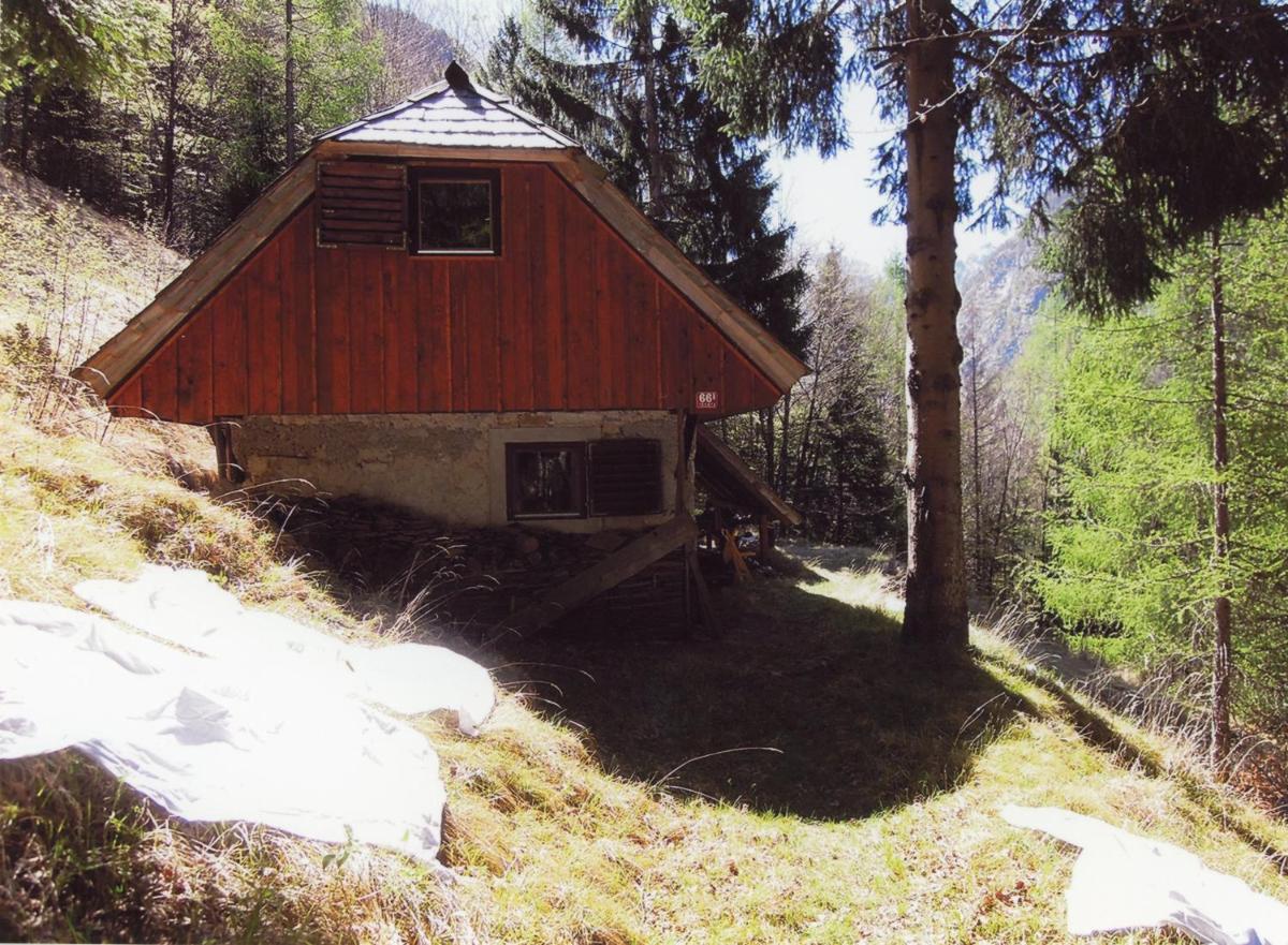 Architect`s Cottage - serenity and greenery in the highlands - Housity