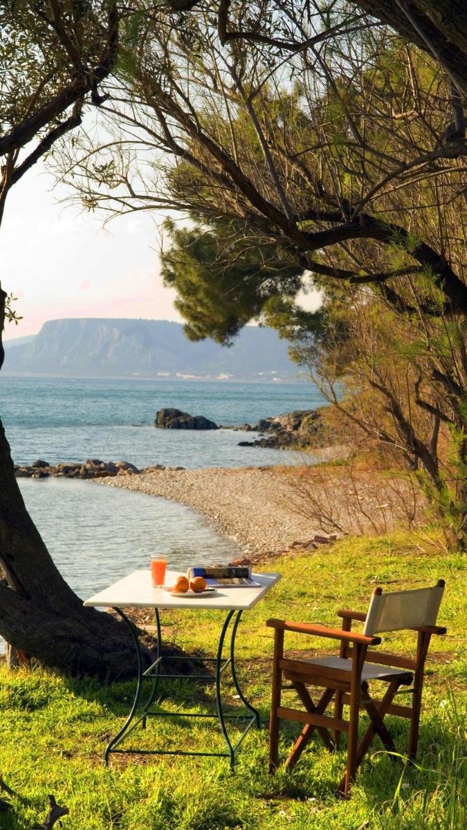 A Luxury Seafront Villa with amazing ambience and view - Housity