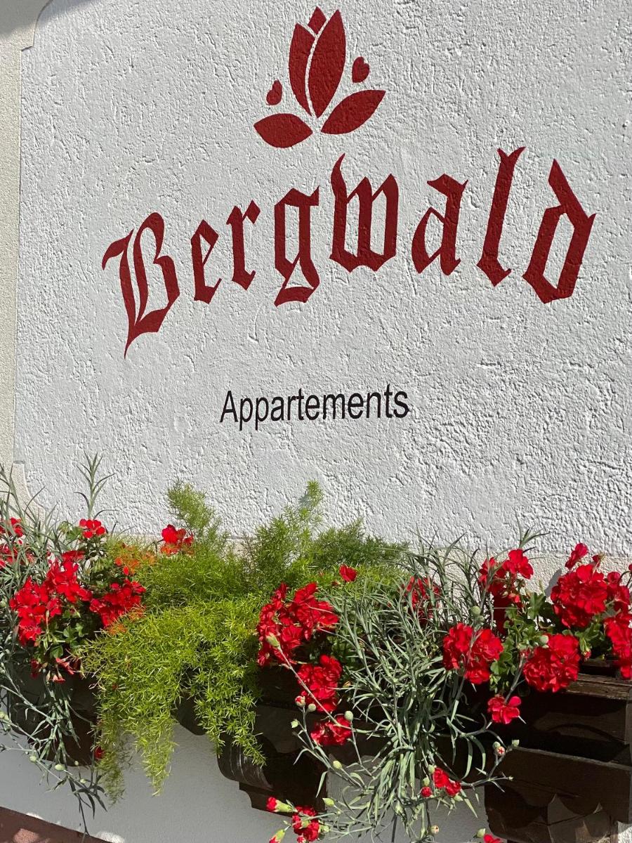 Suitetrails - Bergwald