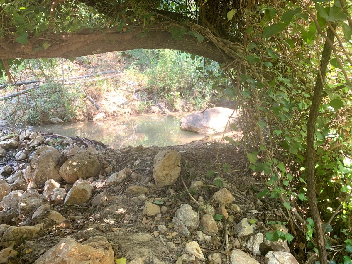 La Cabieda - Junto al Río Cañamares - ideal para grupos y familias - Housity