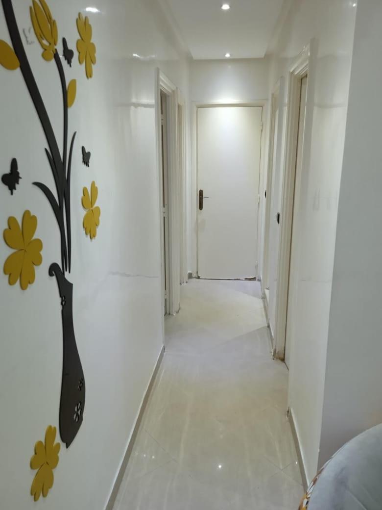 House white - Housity