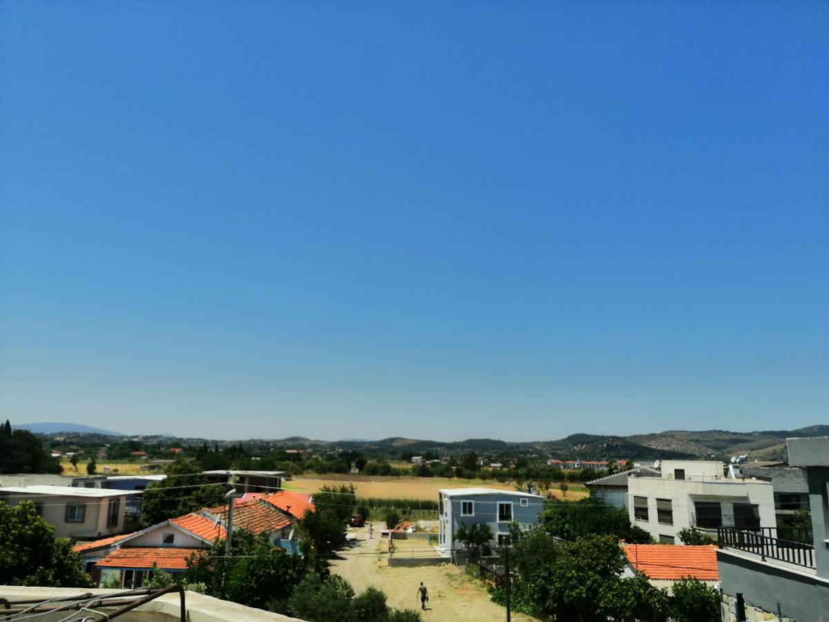Elfin - Housity