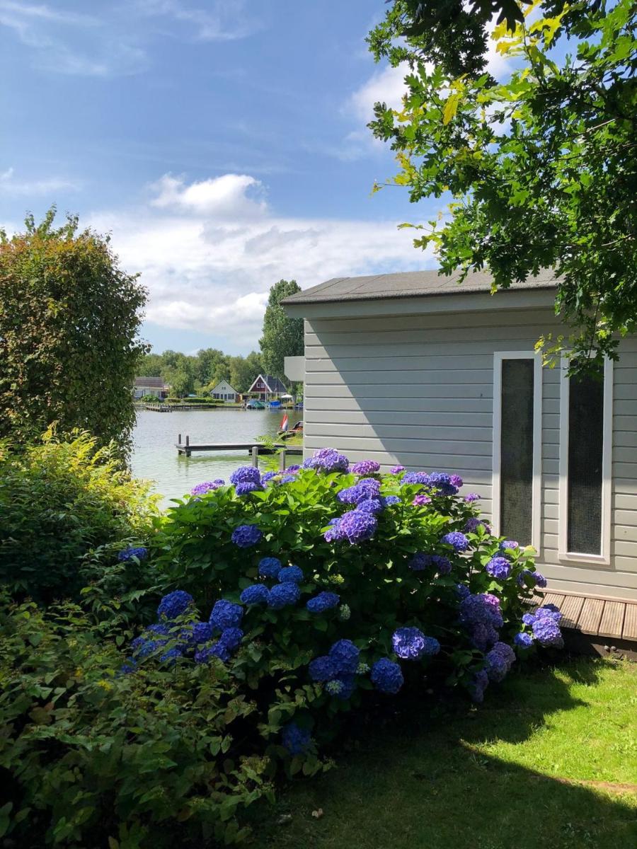 Idyllic Lakehouse - dog is welcome fenced garden - Housity