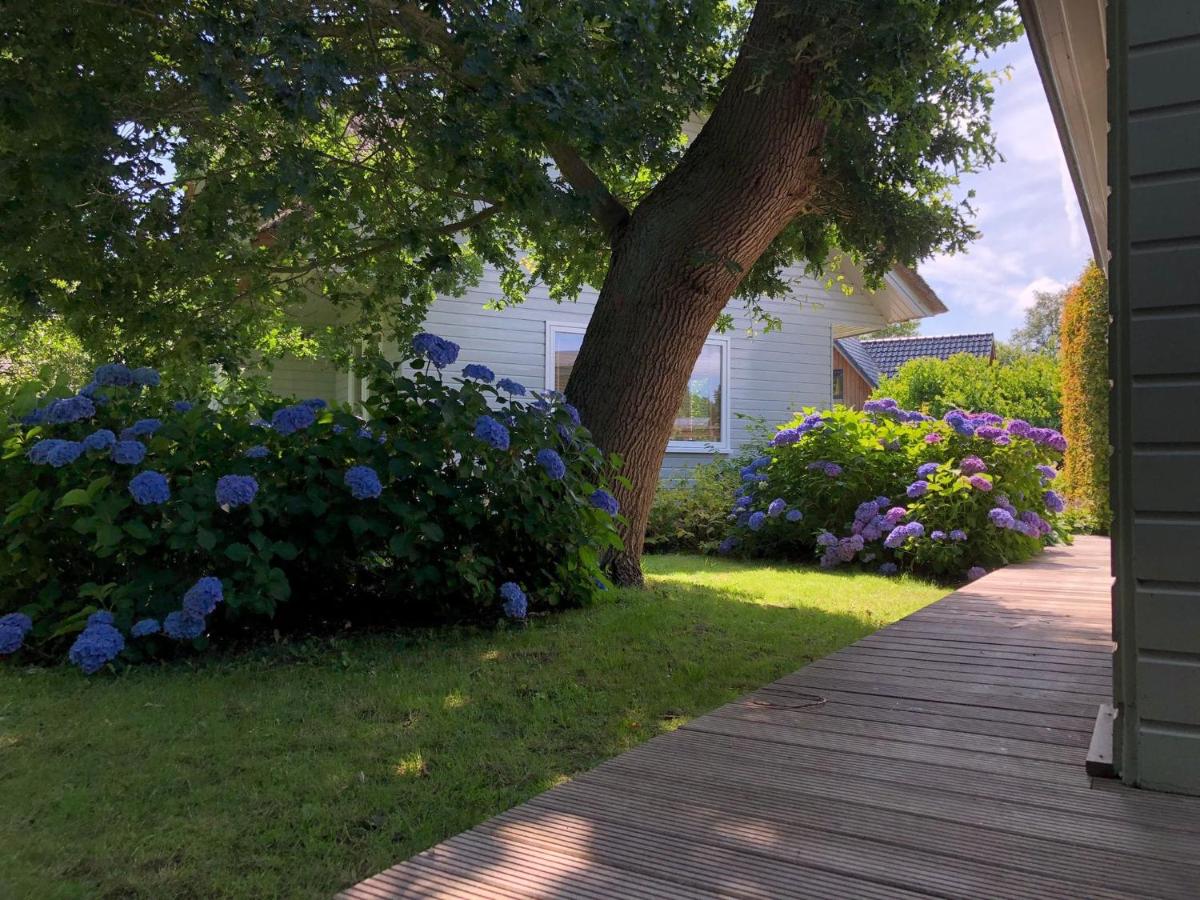 Idyllic Lakehouse - dog is welcome fenced garden - Housity