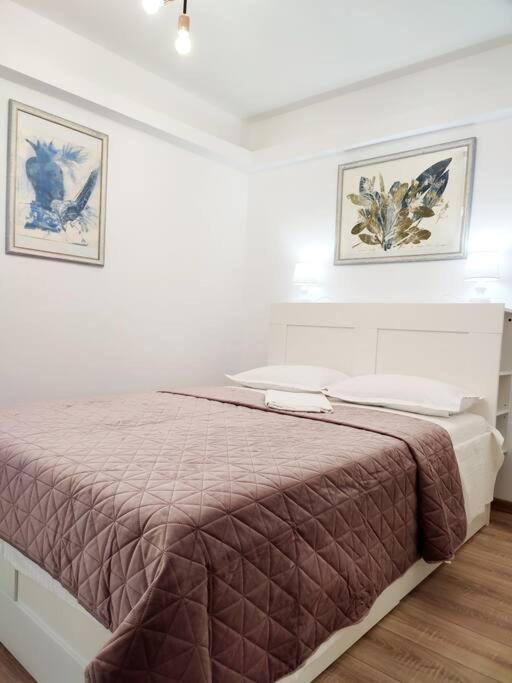 1 bedroom apartment - Hizvo